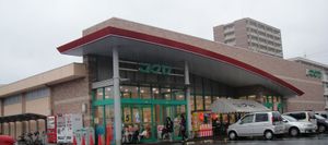 20100411fukuya_higashimaizuru