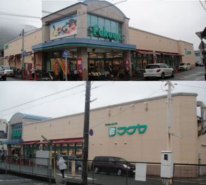 20100411fukuya_nishimaizuru1046