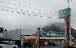 20100411