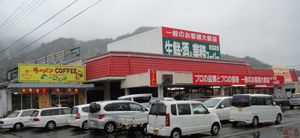 20100411_3