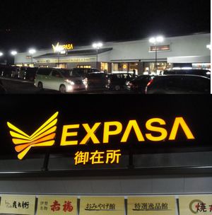 20101205expasanobori001