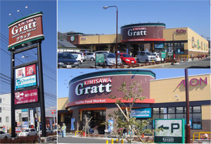 201103051142 201103051142