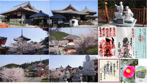 20110409_14 20110409_14