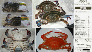 20120804_11 20120804_11