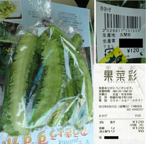 20120921ja_4