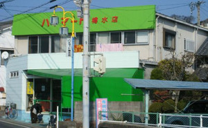 20090117high_mart_tarumizu
