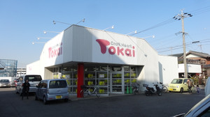 20130108tokai_okazakikita