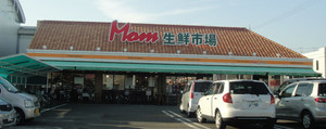 20110305mam_nakata