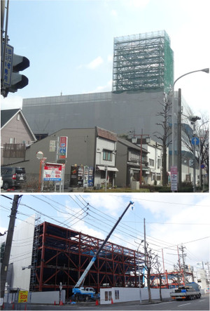 20130213eiden_meiekiminami_130