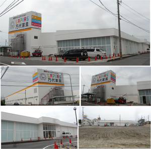 20130601mandai_kagu_lapiasu