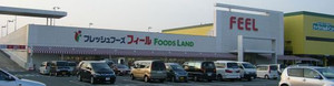 20080719feel_foods_land