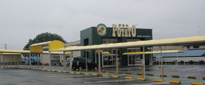 20110611potato_hibarigaoka