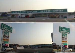 20130815ever_green_kamitonda