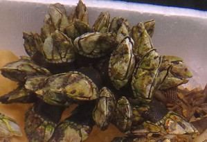 20130914_32 20130914_32