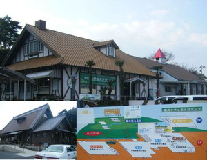 20090117_1520yanagi_mihama