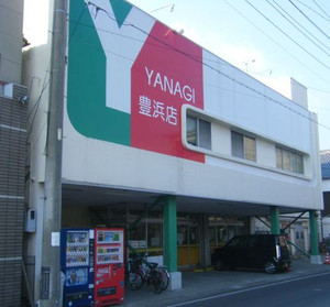 20090117yanagi_toyohama