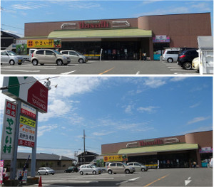 20130930yanagi_okuda