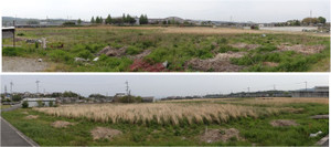 20130429aeontownishiki 20130429aeontownishiki