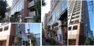 20131121oozekinozawa