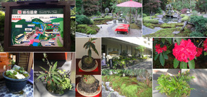 201205180519_2 201205180519_2