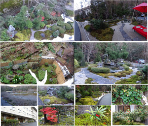 20131221_5 20131221_5