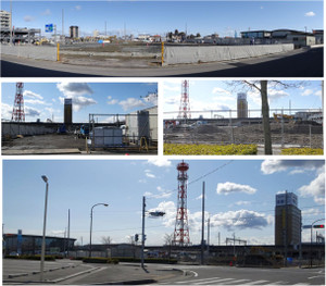 20140209aokigifuhashima