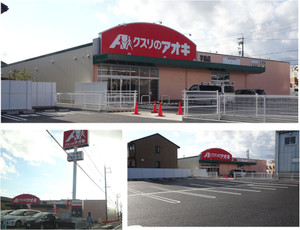 20140321kusurinoaokiimojima