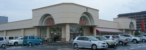 20080417feel_toyota