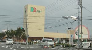 20110402ドミー寺津店改装前