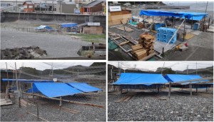 ★-2　20141212熊野七里御浜とサンマ丸干し (4)