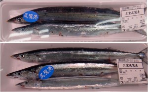 ■生サンマ　尾鷲　　商品オークワ熊野店20141212