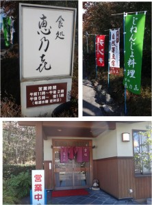 ●●20141222恵乃き　えのき (1)