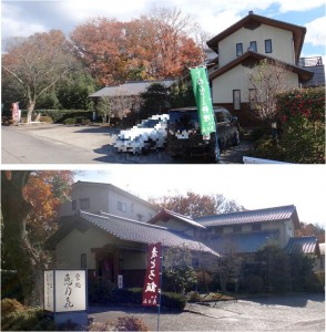 ●20141222恵乃き　えのき (1)