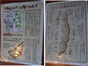 ◆パンフ　えのき-2