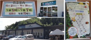 ●JAあいち豊田グリーンセンター松平20150604 (1)