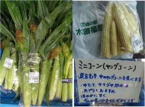★購入商品ミニコーン道の駅 木曽福島20150808 (90)