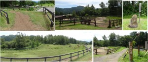 ●●馬の道　木曽馬の里20150808 (84)