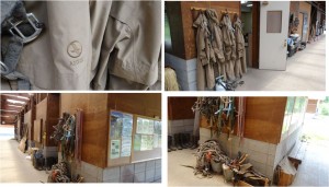 ●●●馬舎　木曽馬の里20150808 (66)