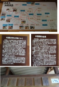 ●●●木曽馬説明　木曽馬の里20150808 (84)