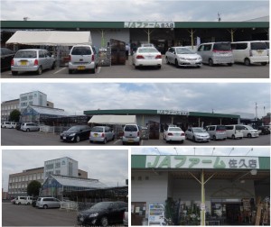 ●JAファーム佐久店20150730 (3)