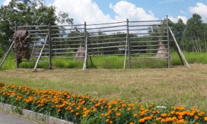 ●風景木曽馬の里20150808 (88)