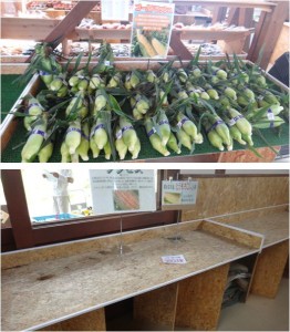 ◇とうもろこし　ファーマーズマーケット彩菜館20150808 (31)