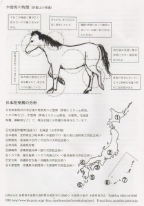 パンフ-木曽馬-02