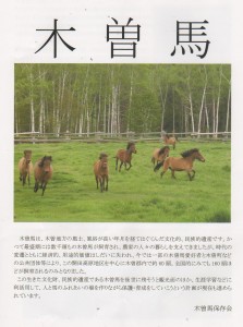 パンフ-木曽馬-01