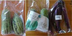 ★虎の子瓜とマーボナス道の駅 ほっとぱ～く・浅科20150730 (8)