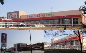 20100417フィールものがたり