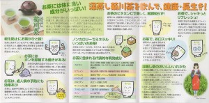 パンフ　-2深蒸し菊川茶