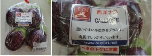 ★購入商品　西洋ナス　セブラ20150901およりてふぁーむ農産物直売所JAみどりの広場 (2)