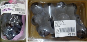 ★長野パープル　粒