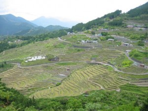 160502-04熊野・丸山千枚田IMG_0066